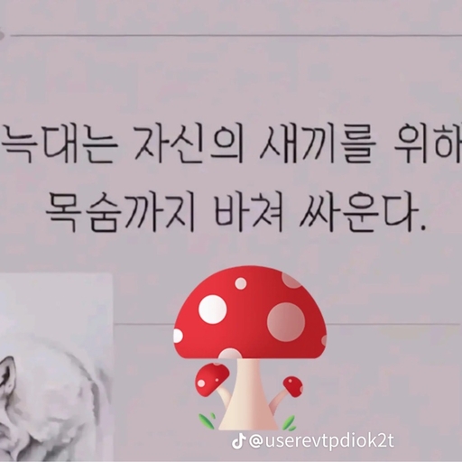 피드 이미지