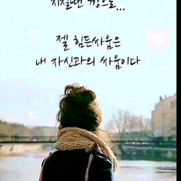 피드에 업로드 된 이미지