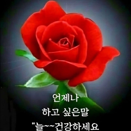 피드 이미지