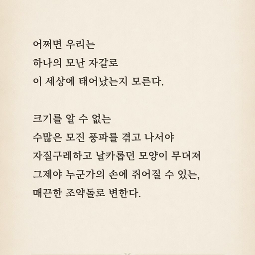 피드 이미지