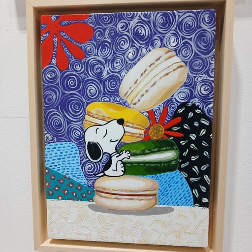 피드 이미지