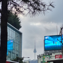 피드에 업로드 된 이미지