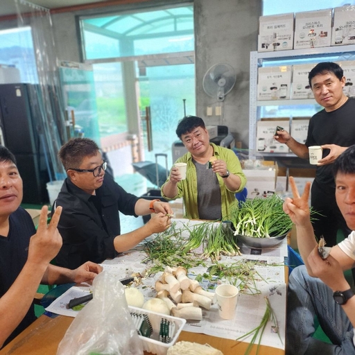 피드 이미지