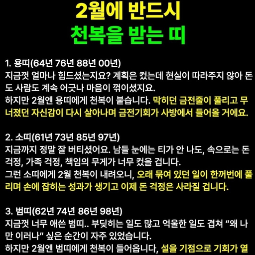 피드 이미지