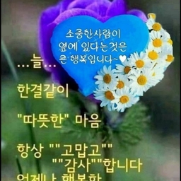 피드에 업로드 된 이미지