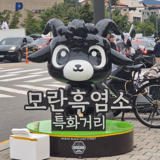 피드 이미지