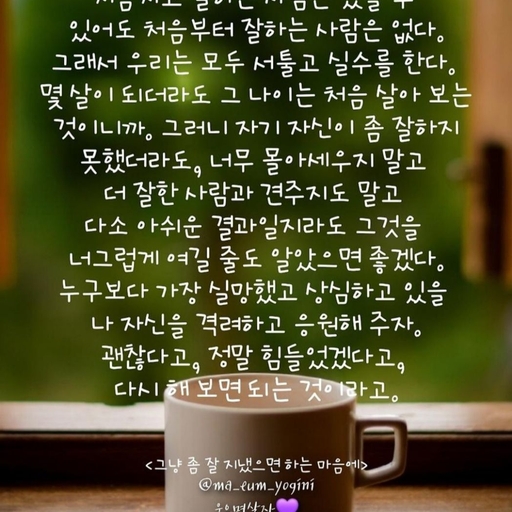피드 이미지