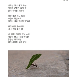 피드에 업로드 된 이미지