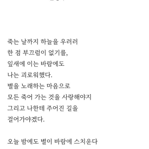 피드 이미지