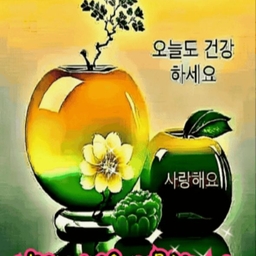 피드에 업로드 된 이미지