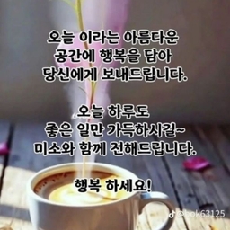 피드에 업로드 된 이미지