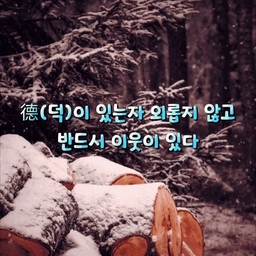 피드에 업로드 된 이미지
