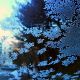 피드에 업로드 된 이미지