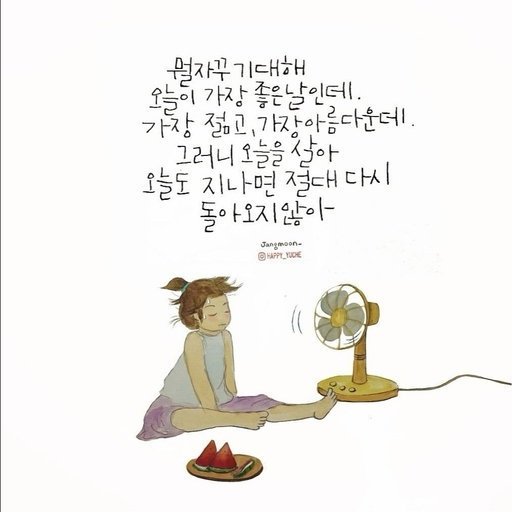 피드 이미지