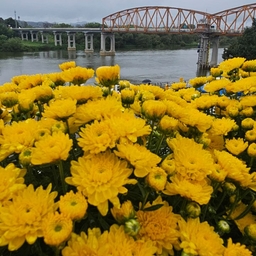 피드에 업로드 된 이미지