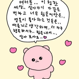 피드에 업로드 된 이미지