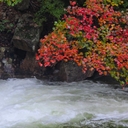 피드 작성자 프로필