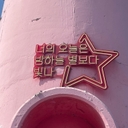 피드 작성자 프로필