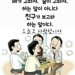피드에 업로드 된 이미지