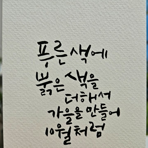 피드 이미지