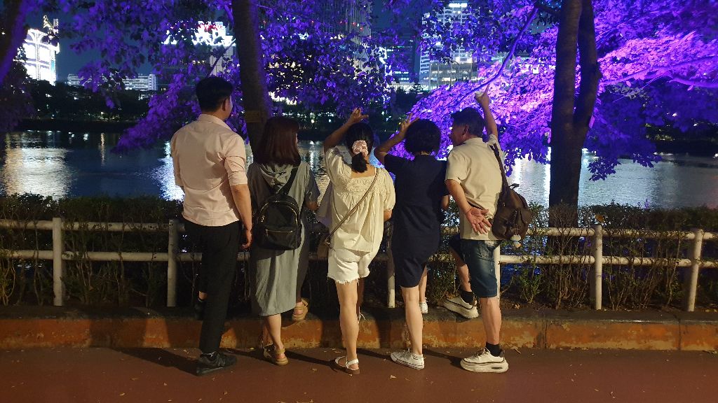 피드 이미지