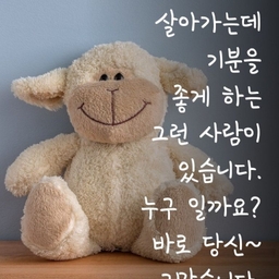 피드에 업로드 된 이미지