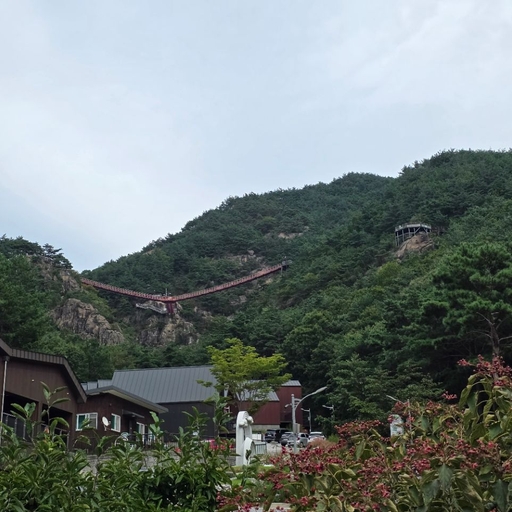 피드 이미지