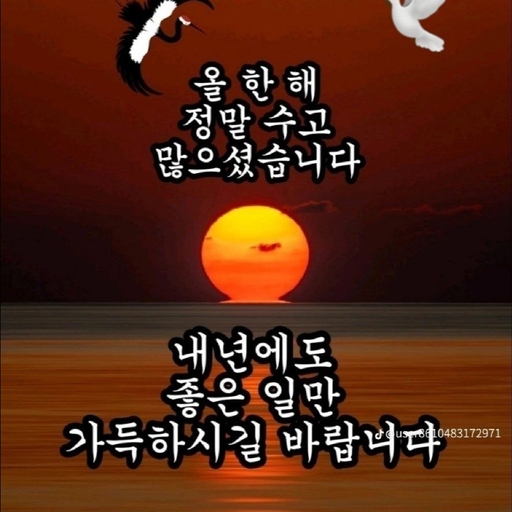 피드 이미지