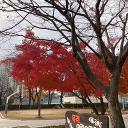 피드에 업로드 된 이미지