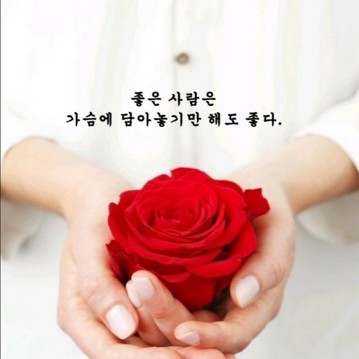 피드 이미지