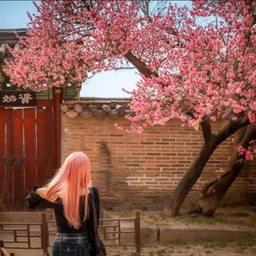 피드에 업로드 된 이미지