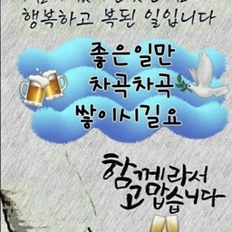 피드에 업로드 된 이미지