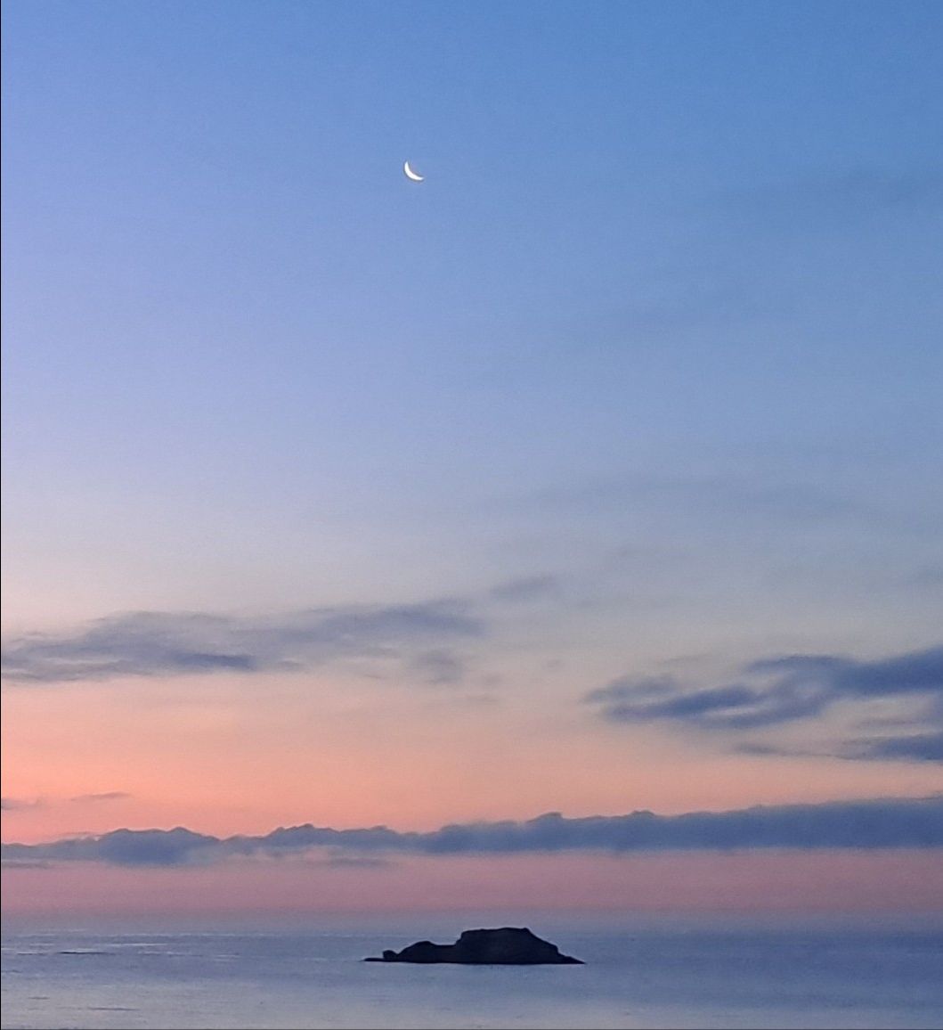 피드 이미지