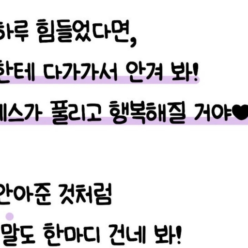 피드 이미지