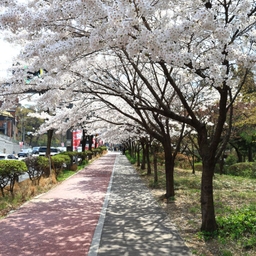 피드에 업로드 된 이미지