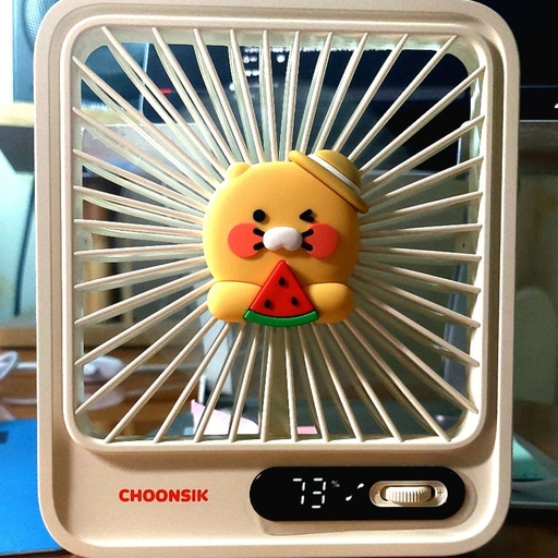 피드 이미지