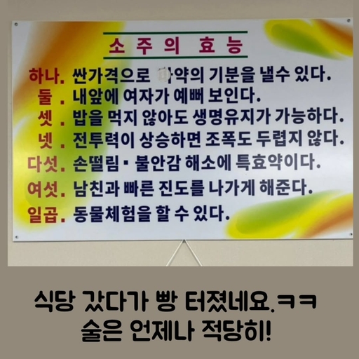 피드 이미지