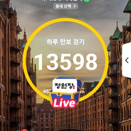 피드에 업로드 된 이미지