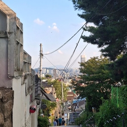 피드에 업로드 된 이미지