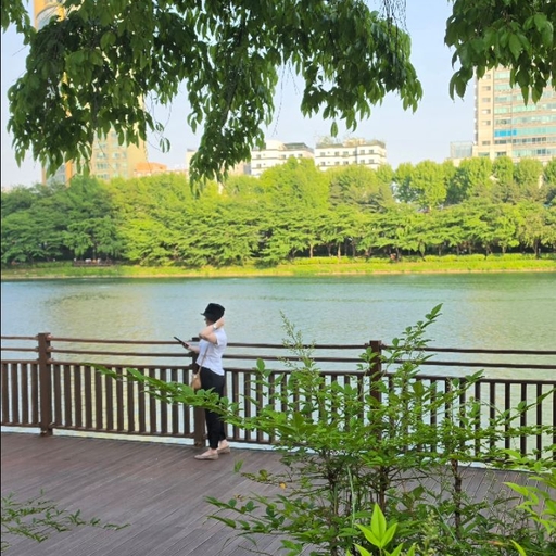 피드 이미지