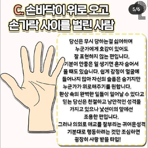 피드 이미지