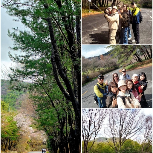 ํผ๋ ์ด๋ฏธ์ง