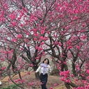 피드 작성자 프로필