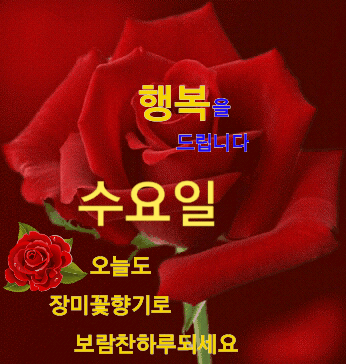 피드 이미지