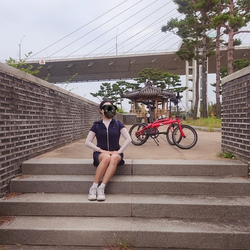 피드 이미지
