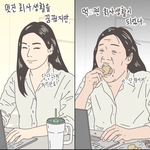 피드 이미지