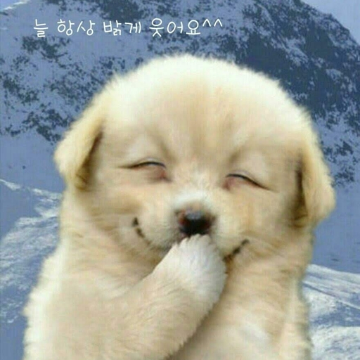피드 이미지