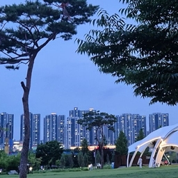 피드에 업로드 된 이미지