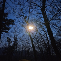 피드에 업로드 된 이미지