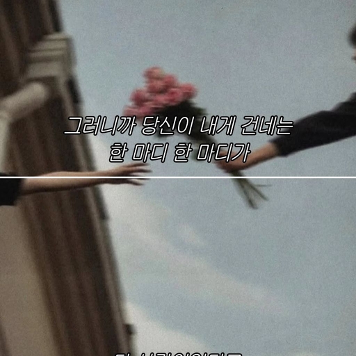 피드 이미지